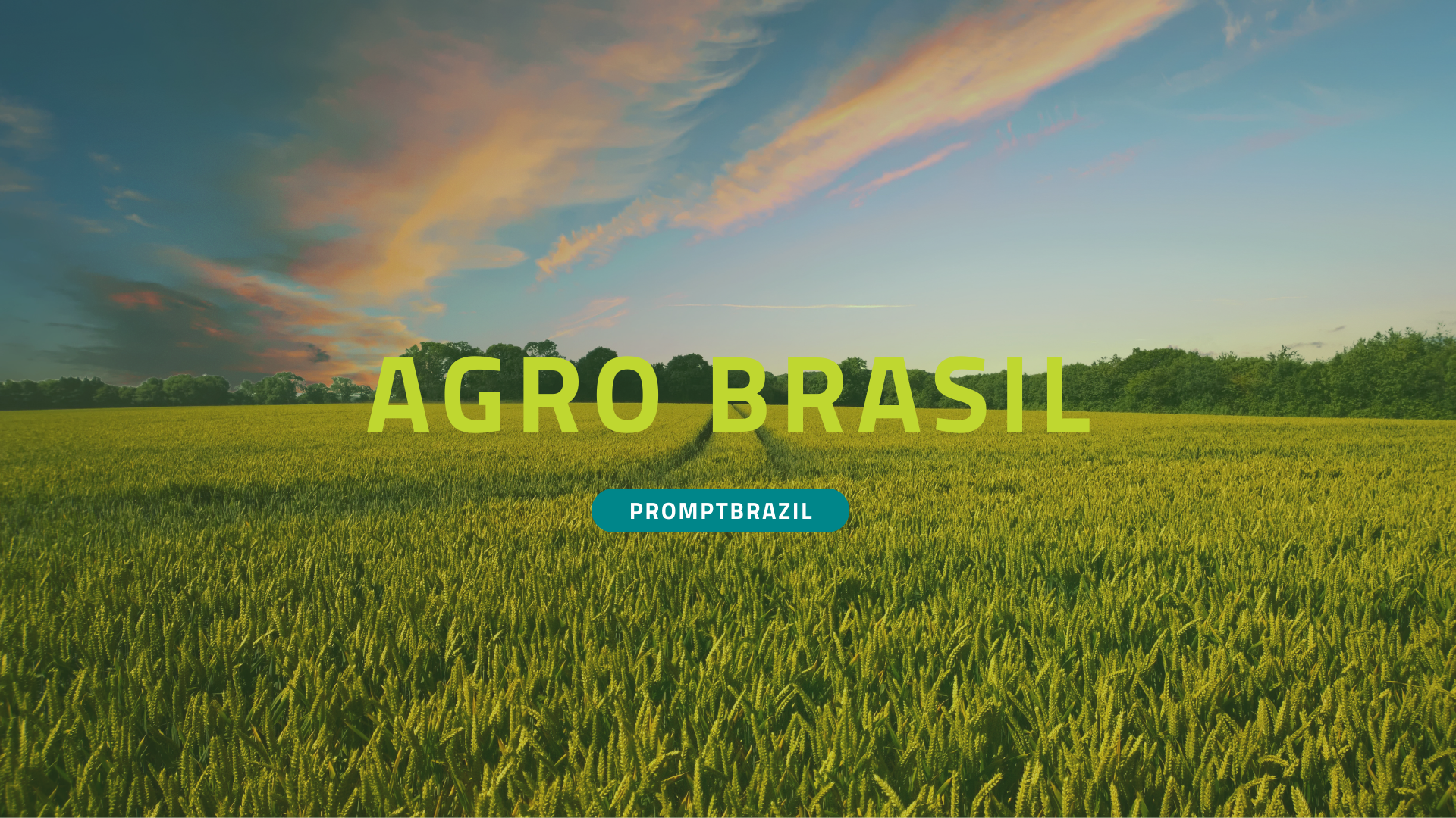 Hoje a prompt comenta todos os indicadores positivos do agronegocio brasileiro, acompanhe