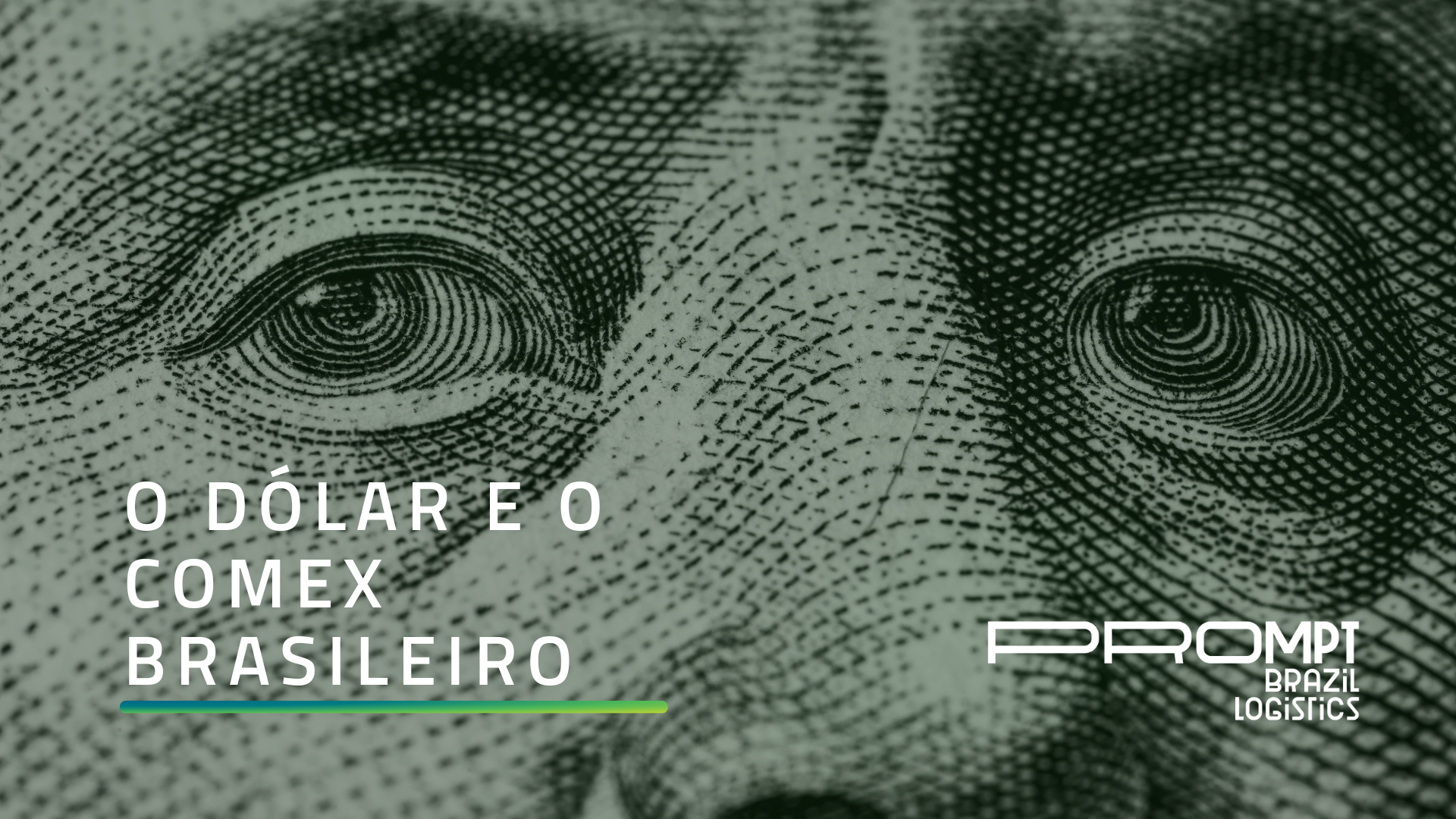O dólar vai cair? Saiba tudo sobre dólar e comex nesse artigo exclusivo da Prompt Brazil.