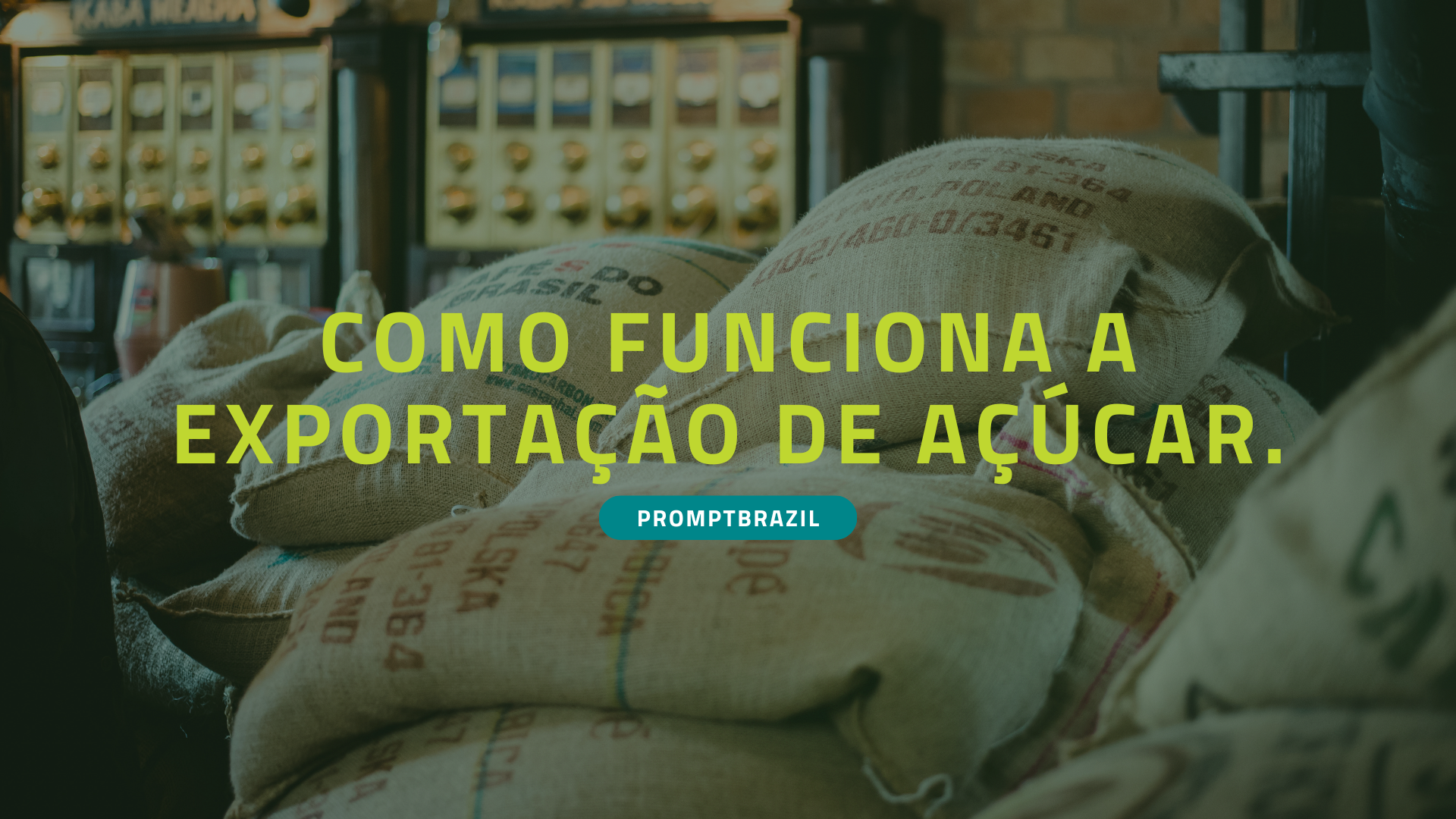 Saiba como funciona a exportação de açúcar com esse artigo exclusivo da prompt.