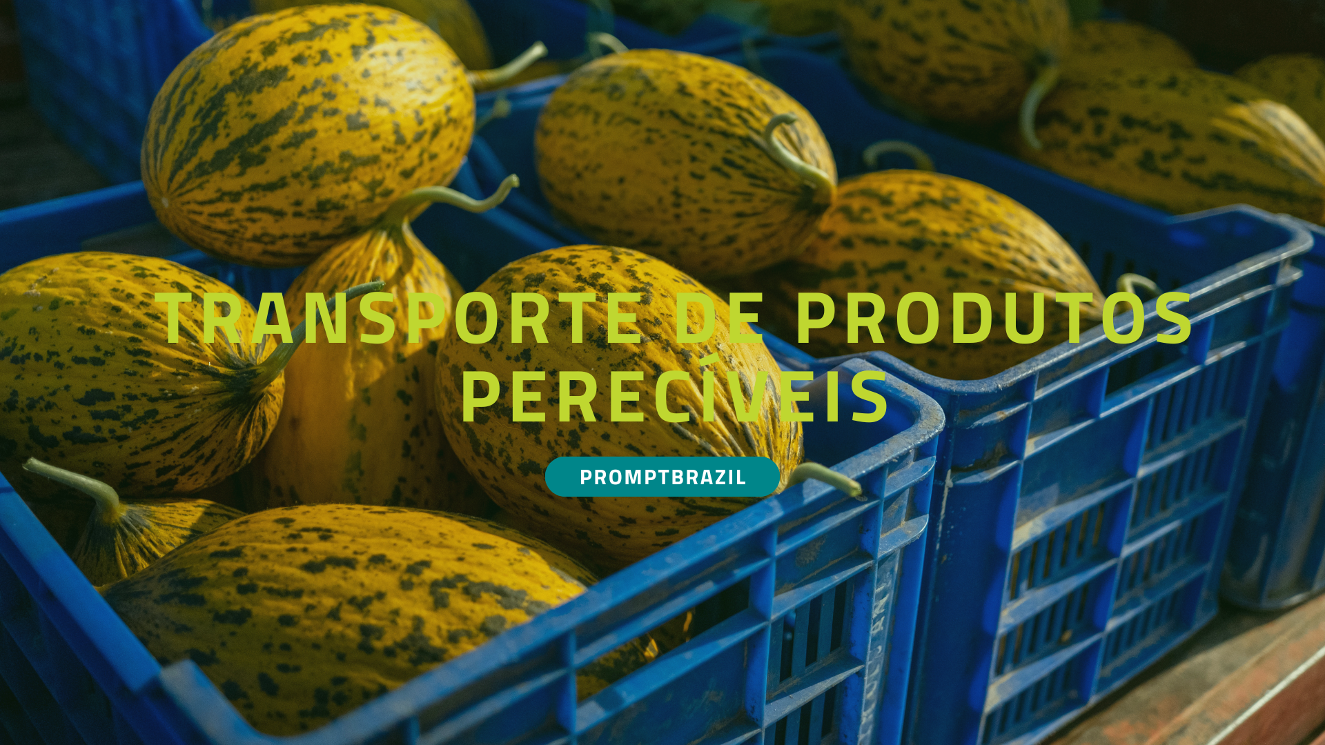 Como funciona o transporte de produtos perecíveis