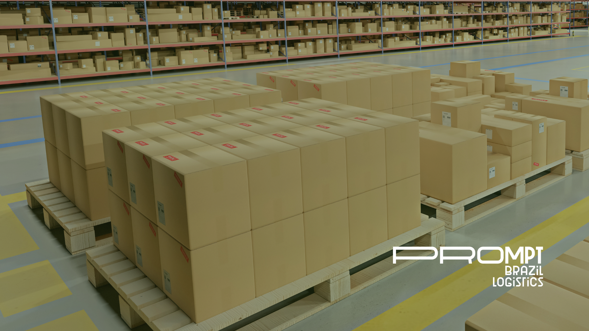Entenda se existem restrições de mercadorias para o transporte aéreo nesse artigo exclusivo da Prompt Brazil.